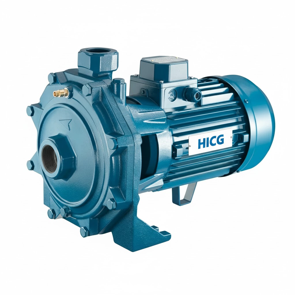 پمپ آب ۲ اسب دو پروانه طرح پنتاکس (Centrifugal Multi-Impeller)