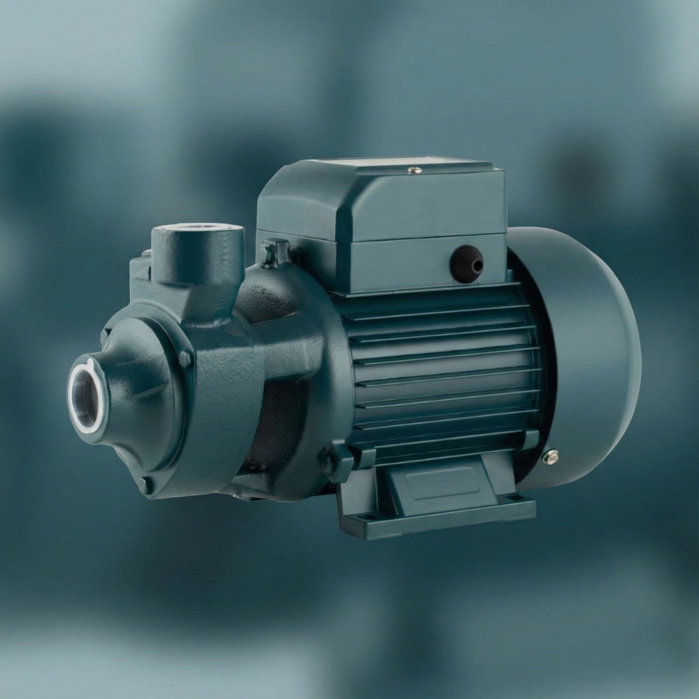 پمپ آب ۱ اسب محیطی طرح پنتاکس: گزینه‌ای قدرتمند و اقتصادی برای سیستم‌های آبرسانی