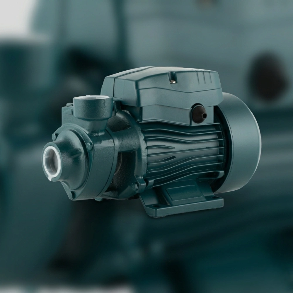 پمپ آب نیم اسب محیطی طرح پنتاکس: انتخابی ایده‌آل برای مصارف خانگی و کشاورزی سبک