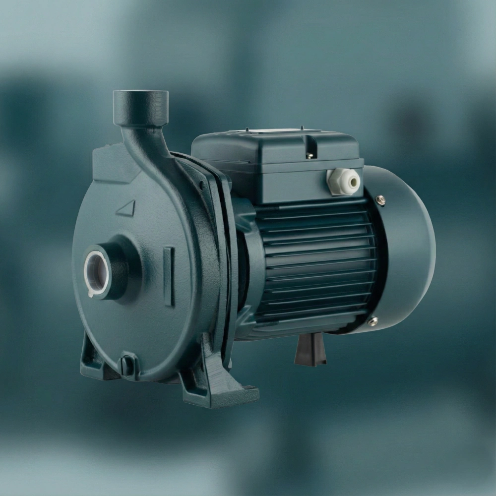 پمپ آب ۱ اسب بشقابی طرح پنتاکس: انتخابی مناسب و اقتصادی برای افزایش فشار در سیستم‌های آبرسانی